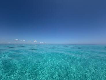 Private charter- snorkel & sightseeing 