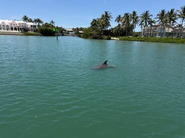 Best Boating Experience On Marco Island!!