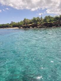 A stunning view of a tropical coastline with lush greenery and clear turquoise waters, perfect for island hopping adventures.