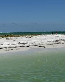 Two individuals enjoy a sunny day on a picturesque beach, with turquoise waters and a sandy coastline creating a perfect backdrop for relaxation and exploration.