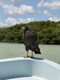 Best boat tour experience!