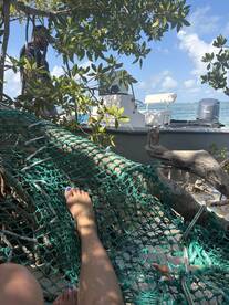 A serene moment captured in a hammock with a boat visible in the background, surrounded by lush mangroves — perfect for a relaxing day on the water.
