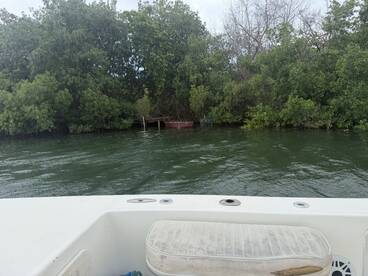 A view from the bow of a boat, showcasing lush mangroves and a docked vessel in a serene waterway — perfect for exploring nature and wildlife.