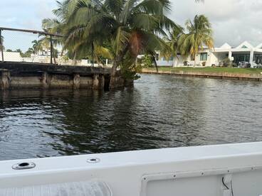 An unclear view of a waterway with a partially visible structure and surrounding palm trees, lacking a clear focal point.