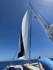 Greatest boat trip ever!