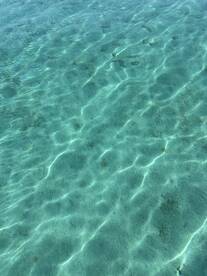 An underwater view of clear water with sandy bottom, showcasing the tranquil beauty of marine environments.