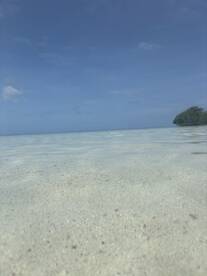 A serene view of shallow waters and a distant island, but the image lacks clarity and detail.