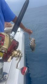 Boating with Scott