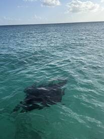 Fanstastic Birthday in Barbados Boat trip