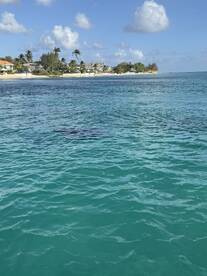 Fanstastic Birthday in Barbados Boat trip