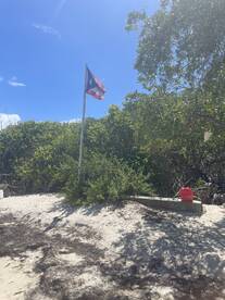 An unclear image featuring a flag and some vegetation, lacking identifiable subjects or context.