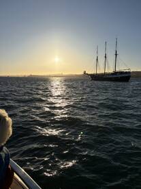Excellent Boat. Great Captain & Crew. Sublime Sunset.