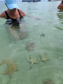 Perfect Cayman Experience