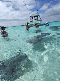 Guests interact with stingrays in shallow turquoise waters, creating an unforgettable wildlife experience in a tropical paradise.