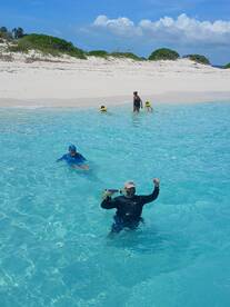 A joyful family enjoys a day of snorkeling and swimming in crystal-clear waters, creating unforgettable memories at the beach.