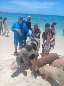 A joyful group interacts with friendly pigs on the beach, creating a memorable wildlife experience in the Bahamas.