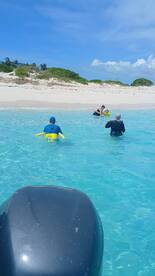 A group enjoys a fun day at the beach, with one person being assisted in the water — perfect for family adventures and memorable outings.