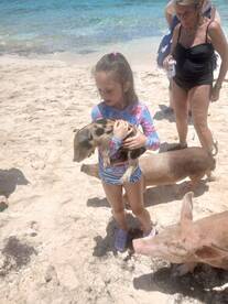 A young girl joyfully holds a piglet on the beach, surrounded by friendly pigs — a memorable wildlife encounter in the Bahamas.