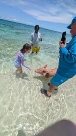 A child interacts with a friendly pig in shallow waters, creating a memorable wildlife experience in the Bahamas.