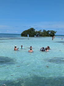 A lively group enjoys a sandbar stop, swimming in crystal-clear waters under the sun — a perfect setting for relaxation and fun.