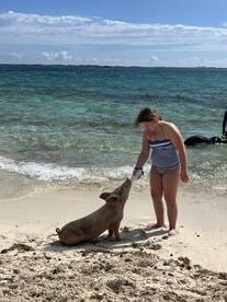 perfect private snorkel and pig trip