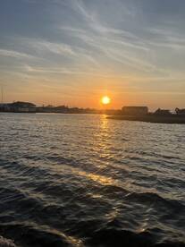 Dolphins and relaxing trip