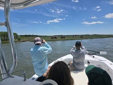 A group of guests on a boat captures the beauty of wild horses grazing along the shore, showcasing a unique wildlife experience on the water.
