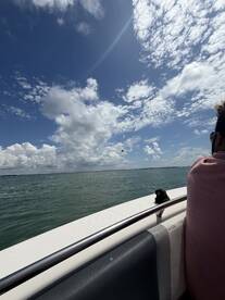 beautiful day 