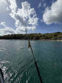 A fishing rod with a catch is prominently displayed while a swimmer enjoys the clear waters nearby, showcasing a perfect day of fishing and fun in the sun.