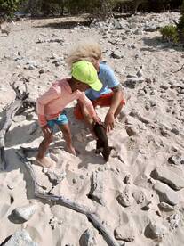A child interacts with a small pig on a sandy beach, showcasing a delightful moment of human-animal interaction in a tropical setting.