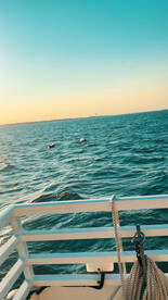 Great trip!!