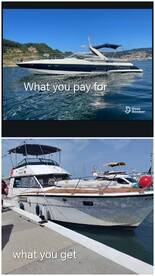 scam