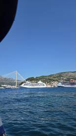 A picturesque view of cruise ships docked in a harbor, framed by a stunning bridge and lush hills, showcasing the beauty of coastal destinations.