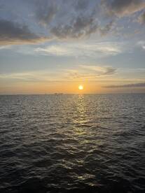 A stunning sunset over the ocean, casting golden reflections on the water — a perfect backdrop for serene boating experiences.