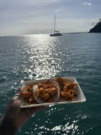 A delicious plate of tacos is held up against a shimmering ocean backdrop, perfect for enjoying onboard during a sailing adventure.