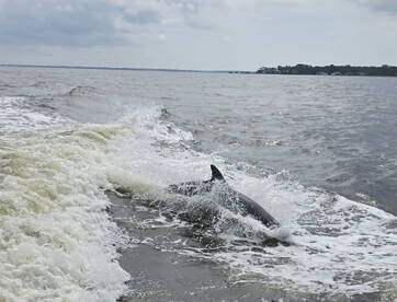 Awesome day on the water.p