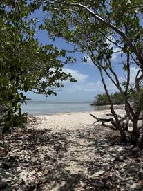 A serene view of a secluded beach framed by lush greenery, perfect for a tranquil getaway or nature exploration.