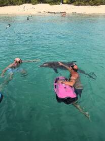 Two snorkelers interact with dolphins in crystal-clear waters, creating an unforgettable wildlife experience in a tropical paradise.