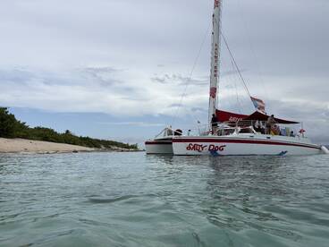 A lively catamaran named 'Sally Dog' is anchored near a sandy beach, with guests enjoying the beautiful surroundings — perfect for a day of fun on the water.