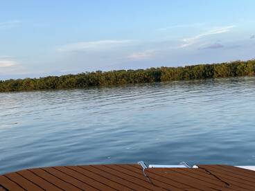 A scenic view of calm waters and mangroves, though the image lacks clarity and focus.
