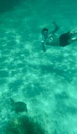 Wonderful Boat Trip