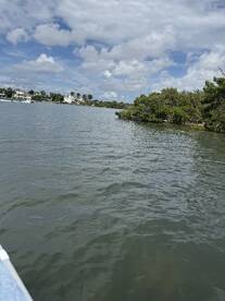 Perfect day