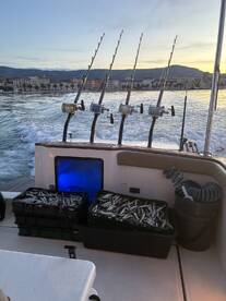 Fishing gear and freshly caught fish are displayed on board, showcasing the excitement of a successful fishing trip.