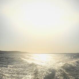 Fantastic late afternoon trip.