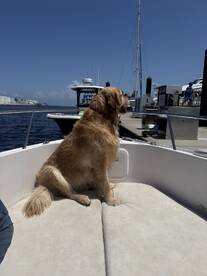 Perfect day + great value for private charter!