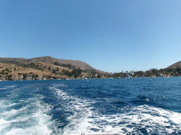 A picturesque view of a coastline with rolling hills and a harbor, showcasing the beauty of island life and perfect for scenic boat trips.