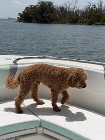 \u2b50\u2b50\u2b50\u2b50\u2b50 Highly Recommend Captain Tom!