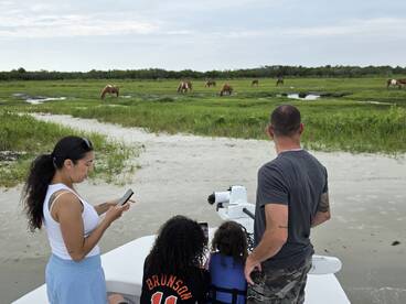 A family enjoys a scenic view from their boat, observing wild horses grazing in the lush marshland — a perfect blend of nature and adventure.