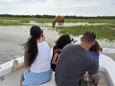A group of people on a boat observes a wild horse grazing on the shore, capturing a unique wildlife experience in nature.