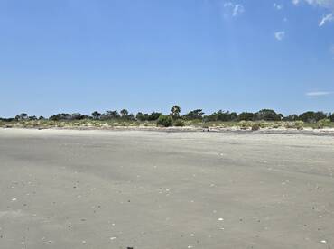 A wide shot of a beach landscape with sparse vegetation and a clear blue sky, but lacks distinct features or subjects.